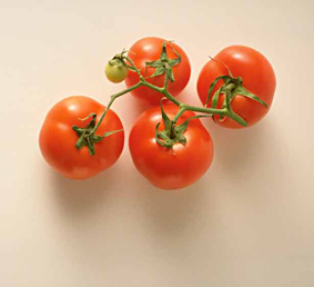 Tomate-grappe