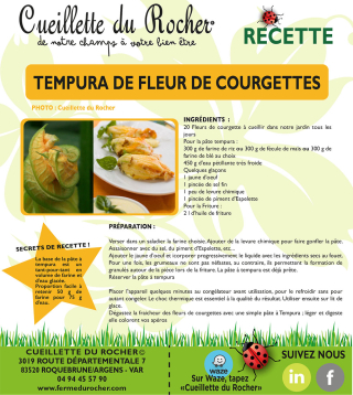 2023-TEMPURA DE FLEUR DE COURGETTES